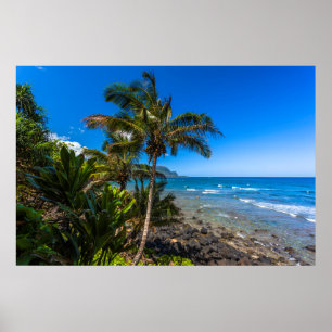 Pôster Costa tropical