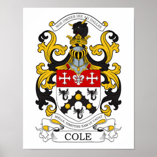 Poster Costume 1 do Cole