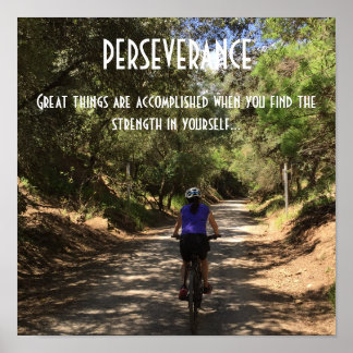 Poster Cota Motivacional Perseverança de Circulação de Bi