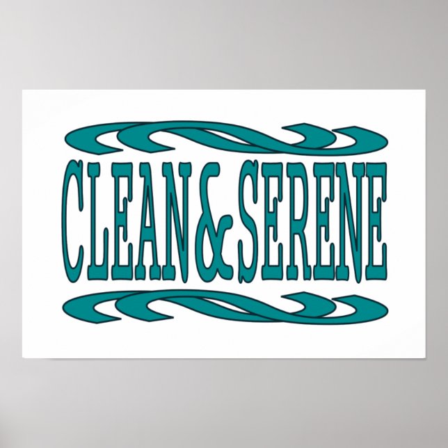 Pôster Cotação de recuperação Inspiron Limpa e Serena (Frente)