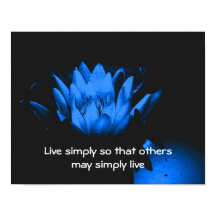 Cotação Inspirativa de Simplicidade de Lotus Azul