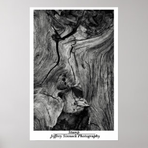 Poster Coto