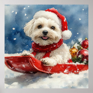 Poster Coton De Tulear no Trenó Deixe Nevar Natal