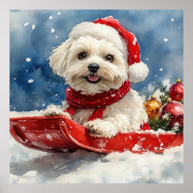 Poster Coton De Tulear no Trenó Deixe Nevar Natal (Frente)