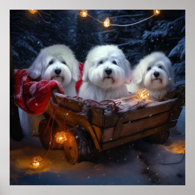 Poster Coton De Tulear Snowy Sleigh Decência De Natal (Frente)