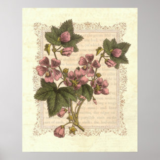 Pôster Cottage Shabby Elegance Vintage Decoração Floral