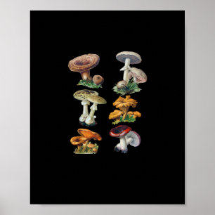 Poster Cottagecore Cogumelos Goblincore Estética Cogumelo