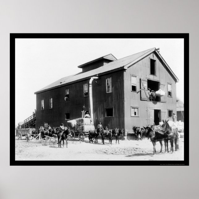 Pôster Cotton Gin em Dahomey, MS 1898 (Frente)