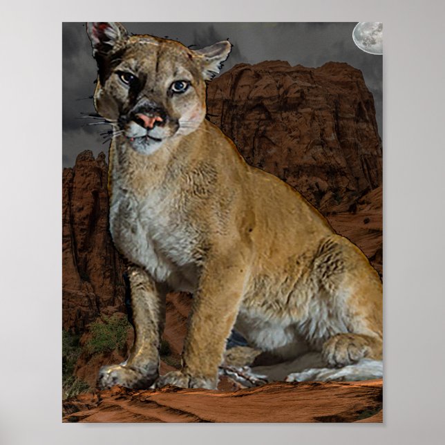 Poster Cougar (Frente)