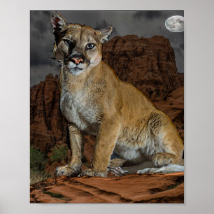 Poster Cougar