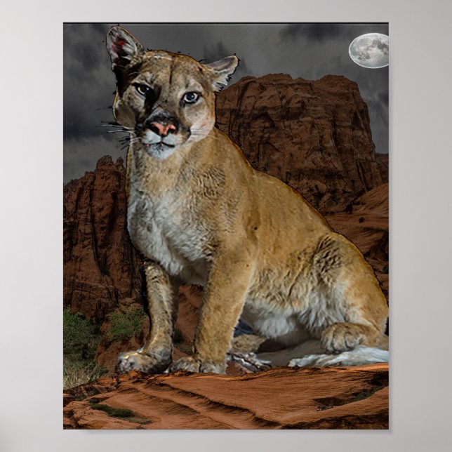 Poster Cougar (Frente)