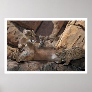 Poster Cougar Family