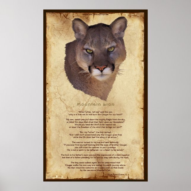 Poster Cougar Mountain Lion Nativo Americano Wisdom Poste (Frente)