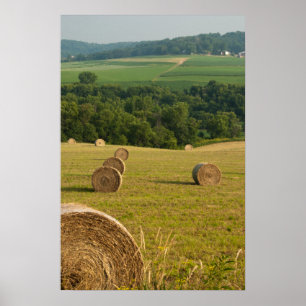 Pôster Countryside Hay Bales