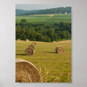 Pôster Countryside Hay Bales