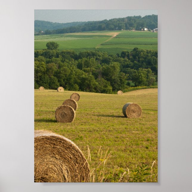 Pôster Countryside Hay Bales (Frente)