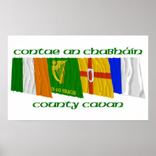 Pôster County Cavan Flags