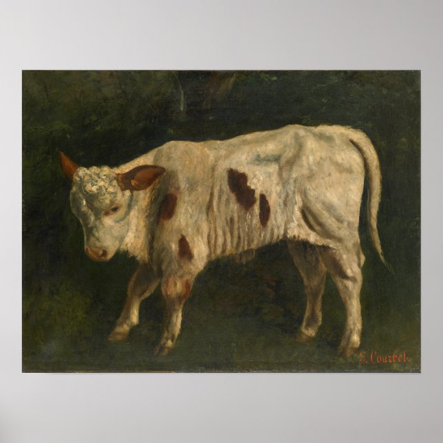 Poster Courbet - O Vitelo (Frente)