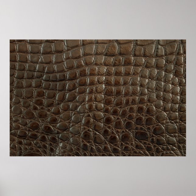 Poster Couro de jacaré castanho-genuíno, próximo a aparec (Frente)
