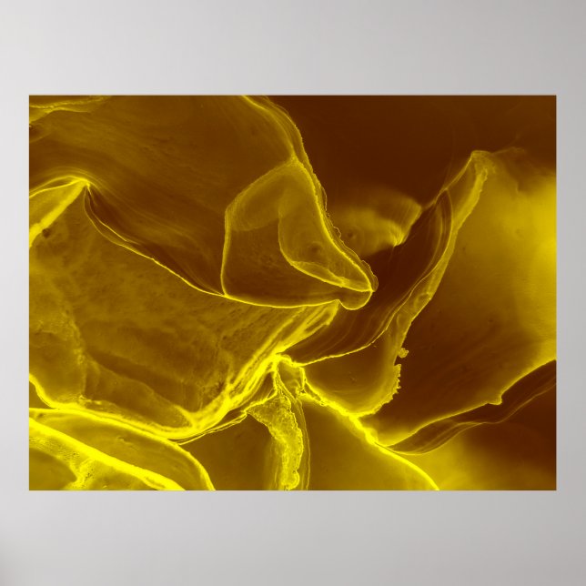 Poster Couro vermelho, textura (Frente)