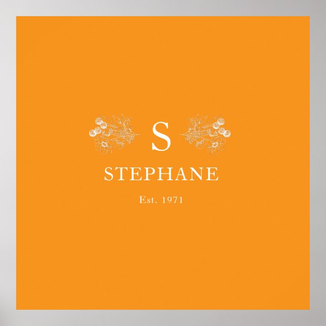 Poster Coussin Elégance Moderne (Frente)