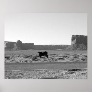 Poster Cow on The Side of the Road Monument Valley 16x20