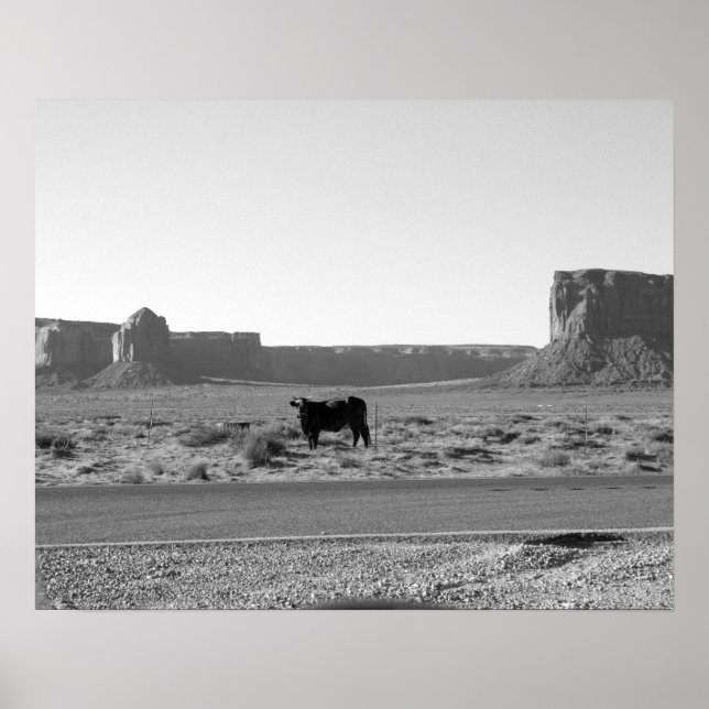Poster Cow on The Side of the Road Monument Valley 16x20 (Frente)