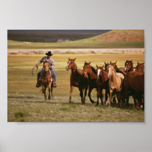 Pôster Cowboy Herding no Ranch