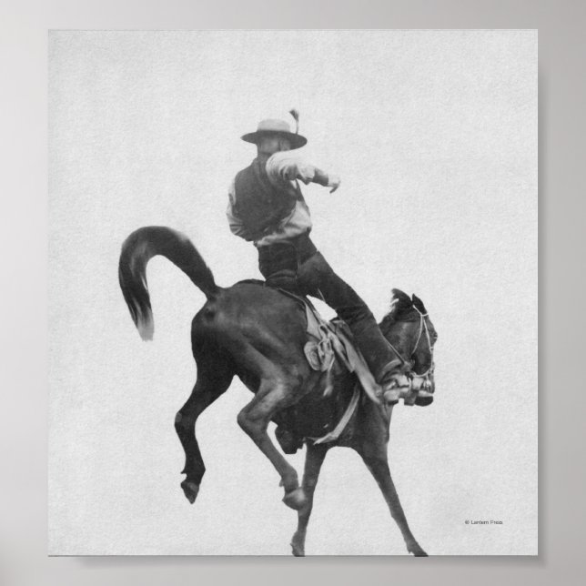 Pôster Cowboy Ned Coy Riding Bronco (Frente)