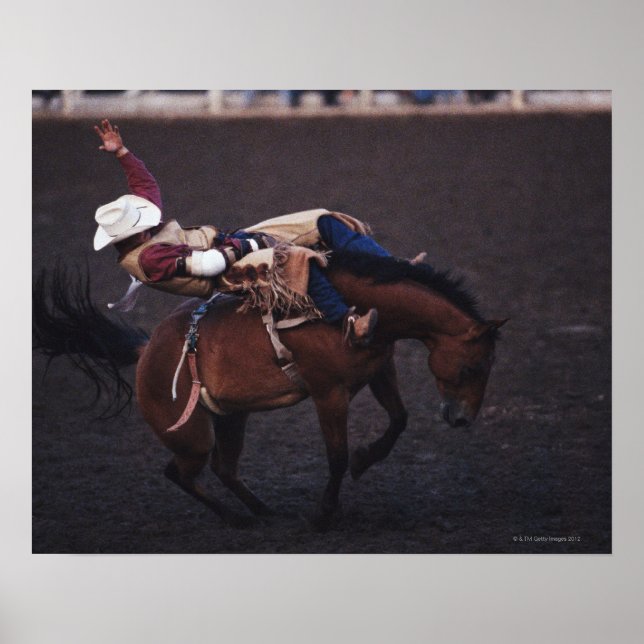 Poster Cowboy num Rodeo 2 (Frente)