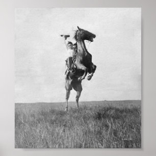 Pôster Cowboy Rides Bronco