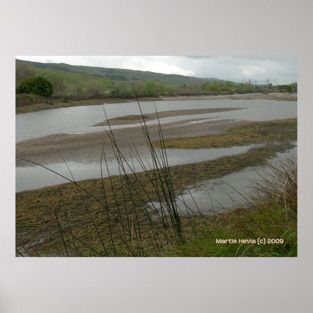 Pôster Coyote Creek Rainy Day (Frente)