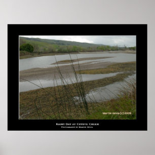 Pôster "Coyote Creek Rainy Day"