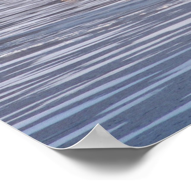 Poster Coyote Crossing (Borda)