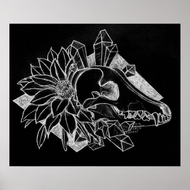 Poster Coyote de Cristal Invertido  (Frente)