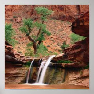 Poster Coyote Gulch Falls