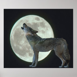 Pôster Coyote Howling na Lua