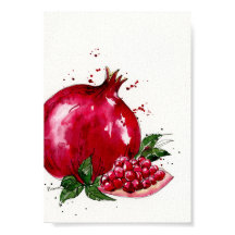Cozinha de Pomegranato de Aquarela