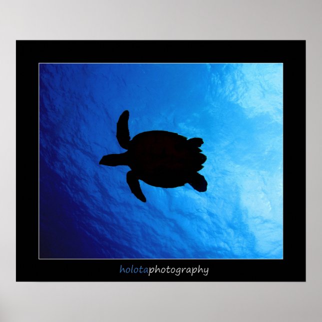 Poster Cozumel - Hawksbill #011 (Frente)