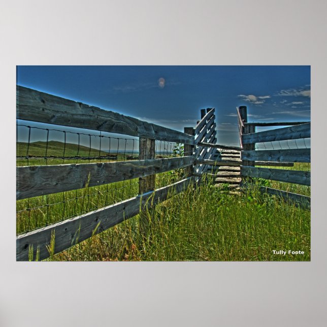 Pôster Crag Eyrie Cattle Shoot (Frente)