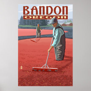 Poster Cranberry Bogs Harvest - Bandon, Oregon
