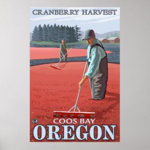 Pôster Cranberry Bogs Harvest - Coos Bay, Oregon