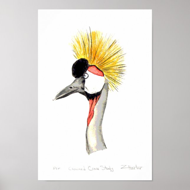 Poster Crane Crested (Frente)