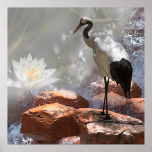 Poster Crane japonesa "Longevity"