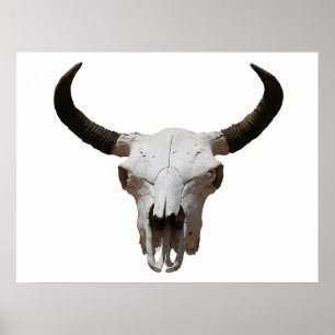 Poster Crânio