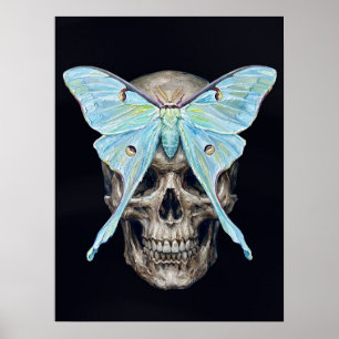 Poster Crânio e Mariposa Luna — Cartaz Impasto Memento Mo