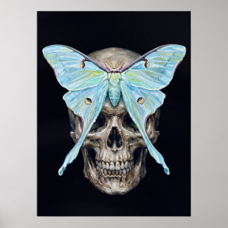 Poster Crânio e Mariposa Luna — Cartaz Impasto Memento Mo