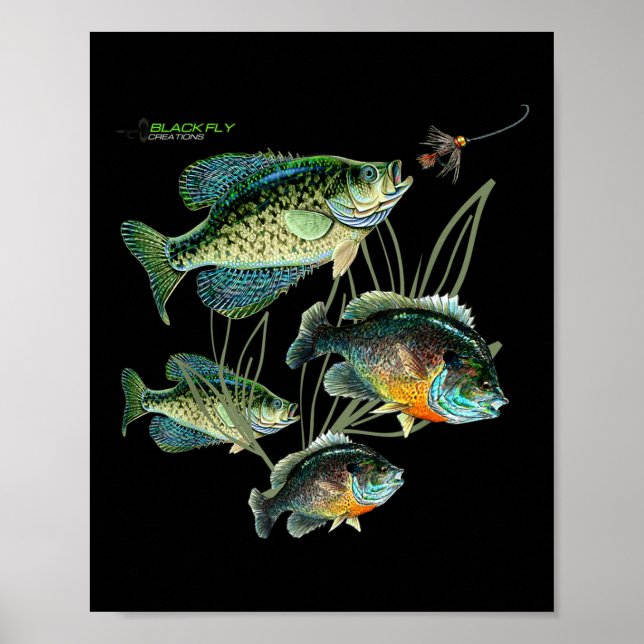 Poster Crappie Bluegill Fishing Shirts Hoodies Black Fly  (Frente)