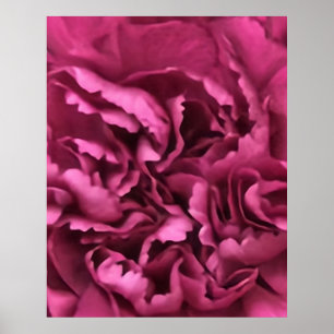 Poster Cravo Rosa