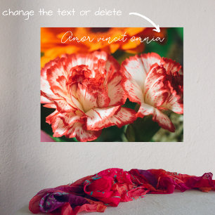 Poster Cravos e gerbera riscados